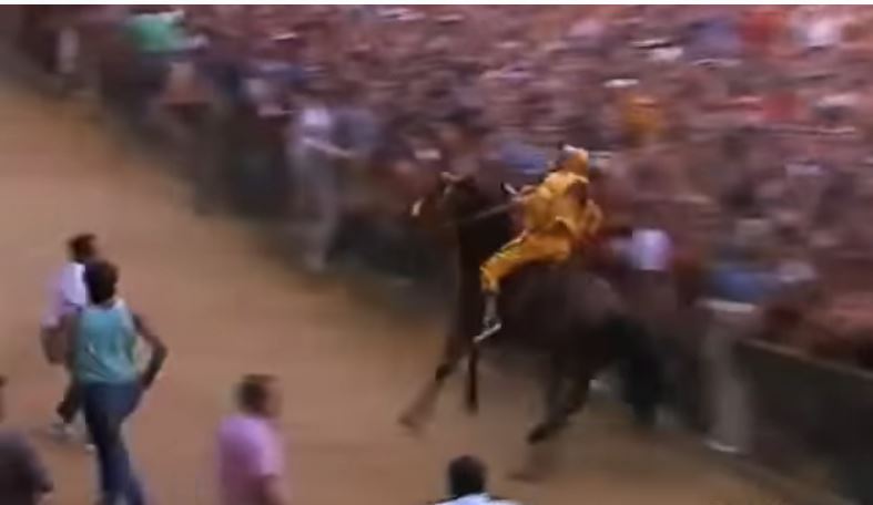 Palio di Siena: Palio 16 agosto&nbsp;1988