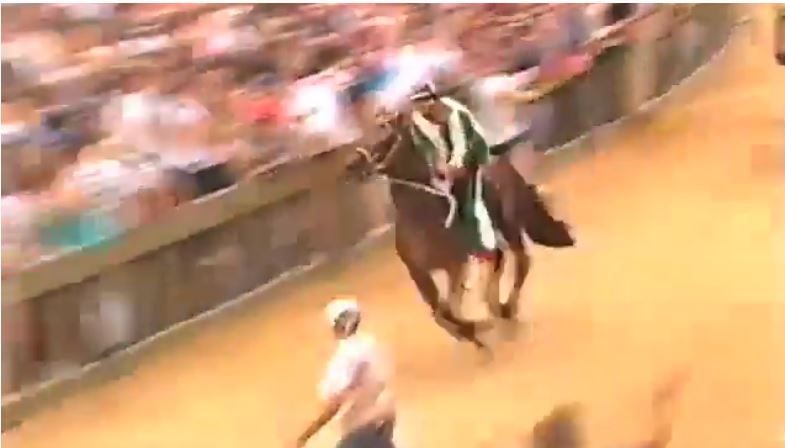 Palio di Siena: Palio 2 luglio&nbsp;1996