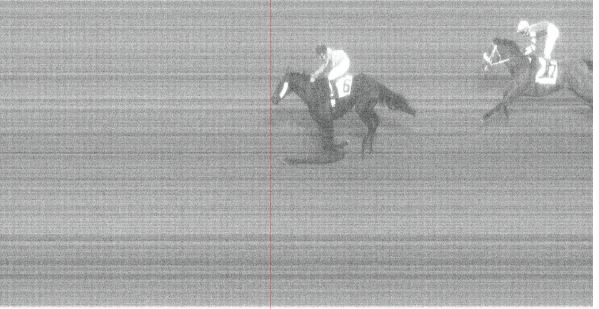 Ippica, Pisa: Oggi 23/02 Risultati 7^ Corsa, Corsa Ribot Cup, Vince Miss&nbsp;Chievus