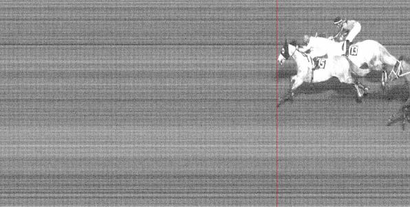 Ippica, Pisa: Oggi 09/02 Risultati 7^ Corsa Vince Zeta&nbsp;Penny