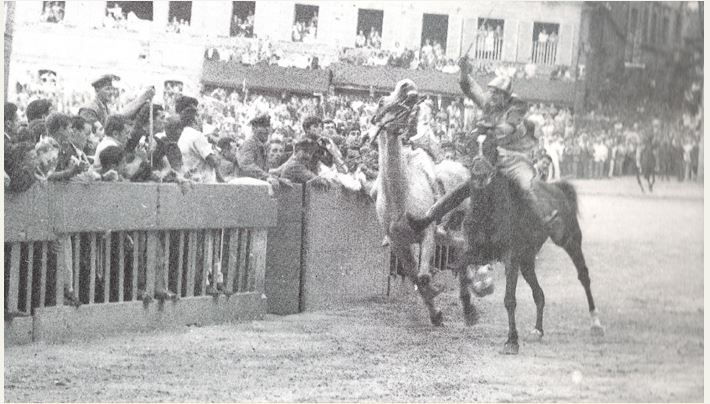 PALIO DI SIENA, STORIA DEL PALIO: 17 AGOSTO 1966 ( PRIMA E SECONDA PARTE&nbsp;)
