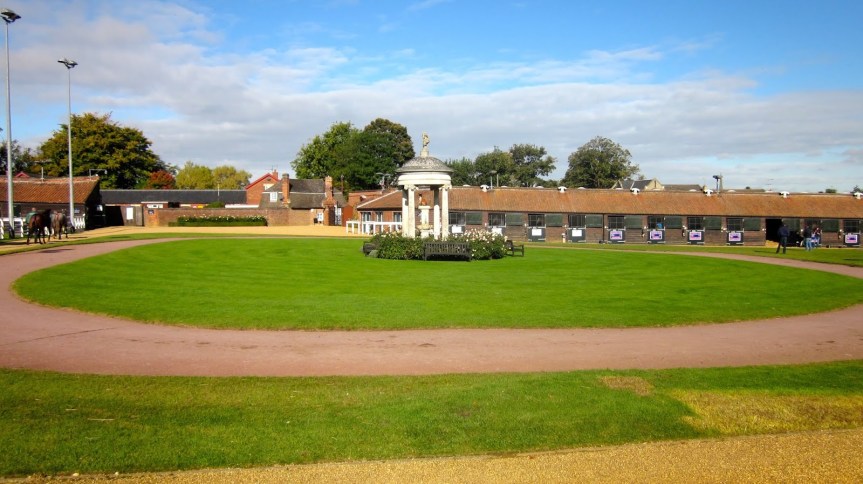 Ippica, Aste: Newmarket chiude a 4%. Acquistato un battistrada per Romanised! Tante compere per&nbsp;l’Italia