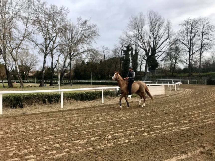 Palio di Fucecchio: Oggi 18/02 si è svolta la Terza Sessione di&nbsp;allenamenti