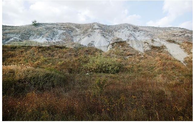Siena: 06-22/03 “Siena dentro e fuori”, la mostra di Stefano&nbsp;Vigni