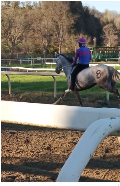 Palio di Asti, Comitato palio Borgo Torretta: Ufficiale, Vanadio da Clodia cavallo per il palio del&nbsp;06/09