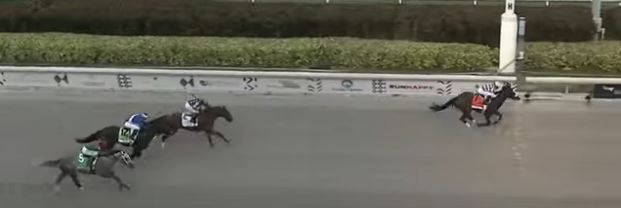 Ippica, America: Tiz The Law stacca facile nel Florida Derby! Profonda ferita per Ete&nbsp;Indien