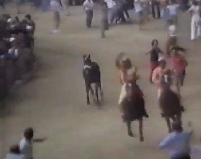 Palio di Siena: Palio 16 agosto&nbsp;1982