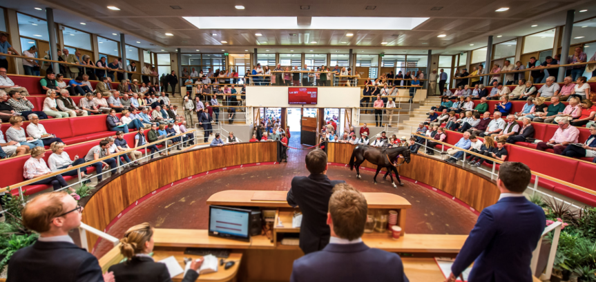 Ippica, Australia, aste: Inglis Australian Easter Yearling Sale a -45%! Ma il Coolmore&nbsp;compra..