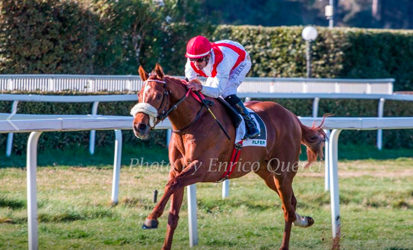 Ippica, Tempo di trials: La giubba Dormello Olgiata svetta a San Rossore, due su due. A Roma Spirit Noir e Wonderful&nbsp;World