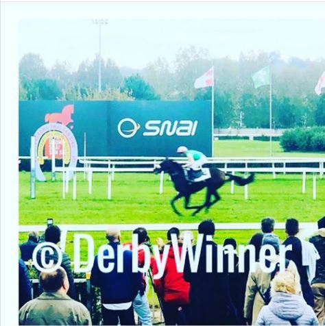 Ippica, Germania: Il giovane Rubaiyat insignito del titolo di cavallo dell’anno in Germania! Aveva vinto il Gran Criterium a San&nbsp;Siro