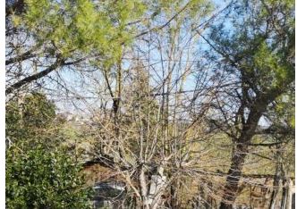 Siena: Camion trancia i cavi in Strada di Istieto, cittadini senza&nbsp;luce