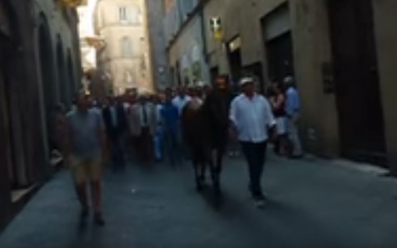 Palio di Siena: The Chiocciola Contrada Horse&nbsp;Parade.AVI