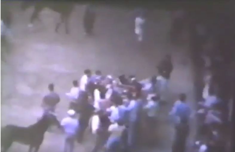 palio di Siena: Palio 16 agosto&nbsp;1970