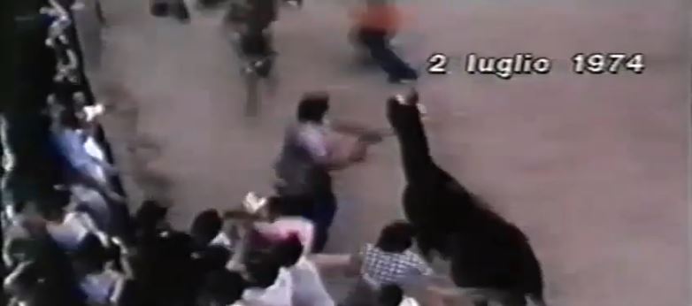 Palio di Siena: Palio 2 luglio&nbsp;1974