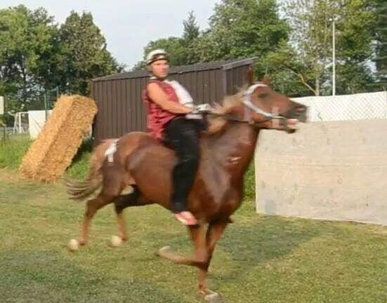 Palii e Corse in Provincia: Il fantino Giacomo Lo Manto ha un’aiutante a&nbsp;scuderia