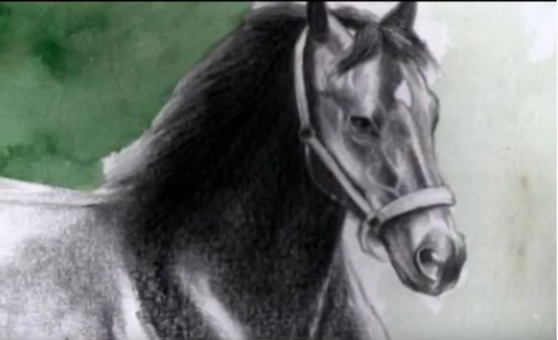 Palio di Siena: I cavalli di Claudia Nerozzi – BERIO&nbsp;–