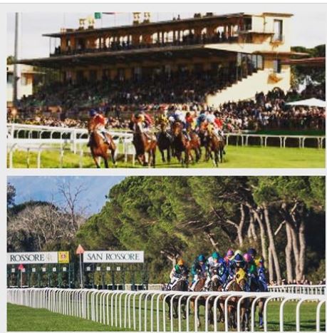 Ippica in TV: I cavalli da corsa, magazine su Studio Aperto a cura di Federico Mastria. Ecco il&nbsp;video