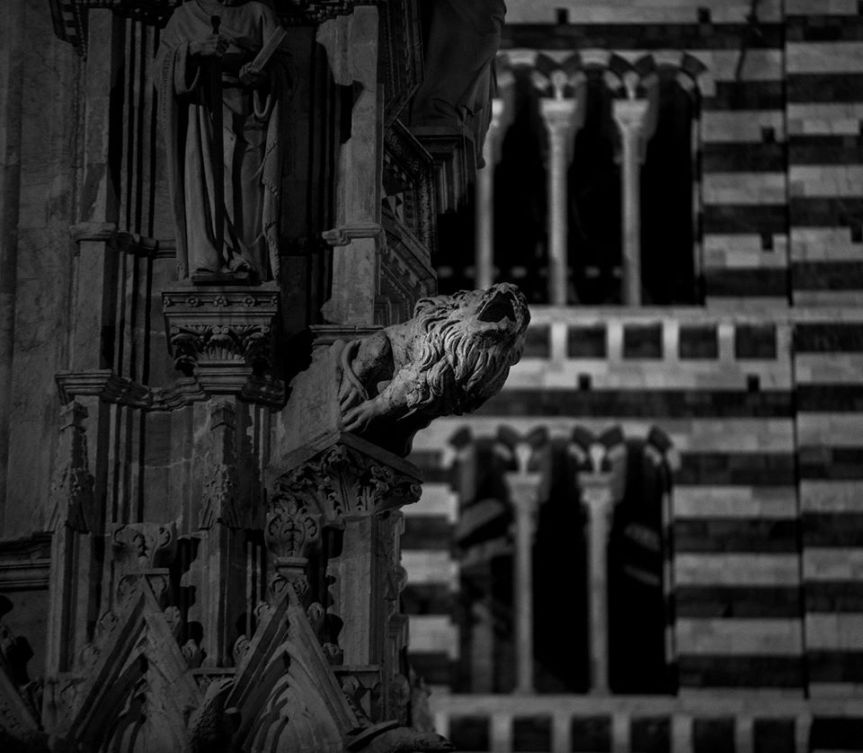 Siena: Diario dalla quarantena – 20° giorno. Tra code, pizza bianca e fiocchi di&nbsp;neve