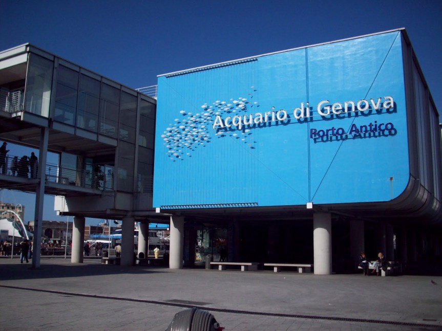 Italia: Il Covid-19 mette in ginocchio zoo e&nbsp;acquari