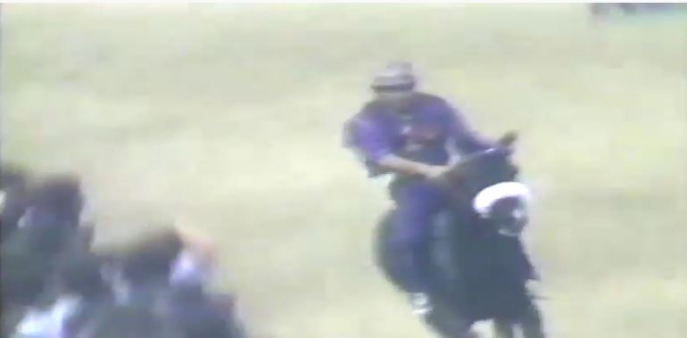 Palio di Siena: Palio 16 agosto&nbsp;1981