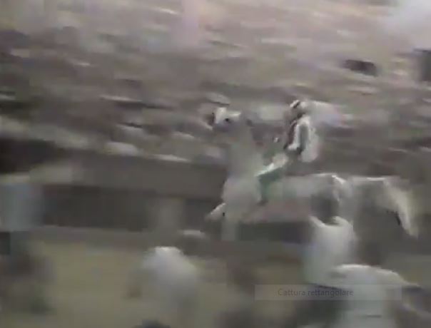 Palio di Siena: Palio 2 luglio&nbsp;1985