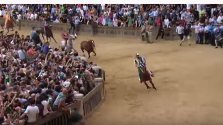 Palio di Siena: Le Palio de Sienne, un course hors du&nbsp;commun