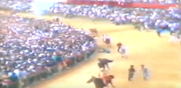 Palio di Siena: Palio 7 settembre&nbsp;1980