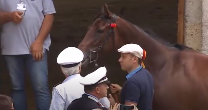 palio di Siena: Pugno di diamante –&nbsp;Tratta
