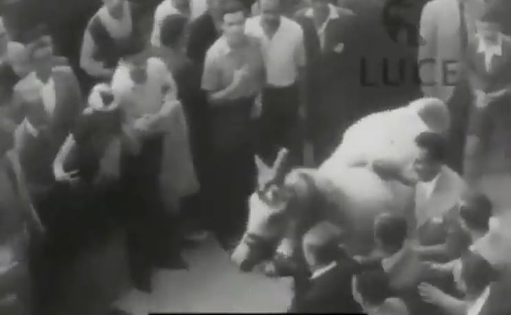 Palio di Siena: Palio 2 Luglio&nbsp;1948