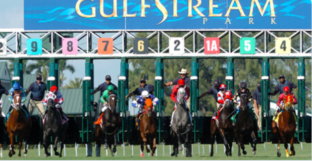 Ippica, Oggi alle corse, 30 Aprile: Gulfstream Park e Boden, ecco i PDF con prestazioni e statistiche&nbsp;scaricabili