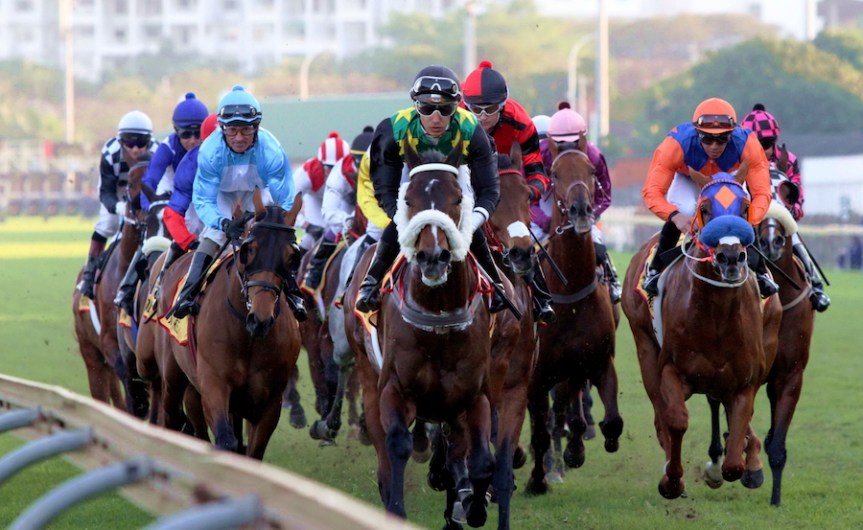 Ippica, Sudafrica: Annunciata la ripartenza delle corse per il 1° Maggio. Tutti gli operatori uniti con uno&nbsp;scopo