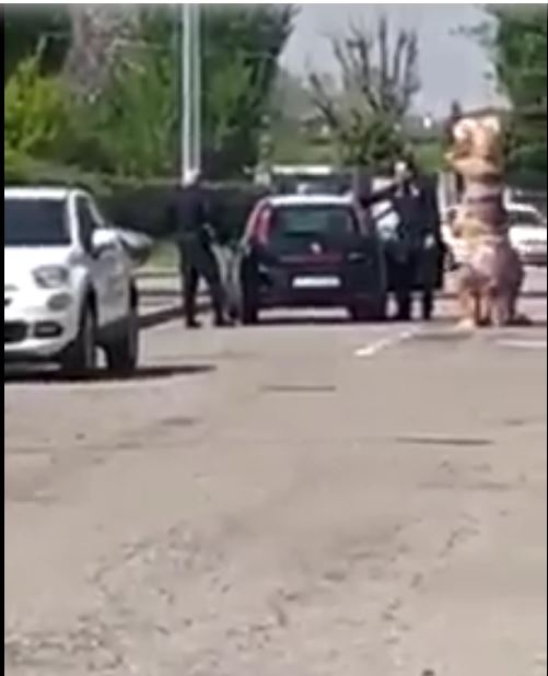 Italia: Coronavirus, la moda del momento è travestirsi da dinosauri e andare a spasso per le città. Video&nbsp;virali