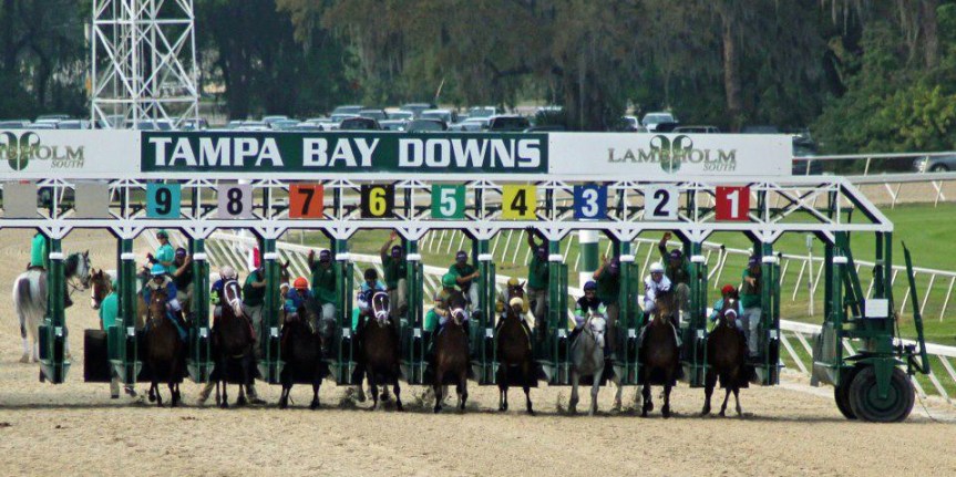 Ippica, Oggi alle corse 8 Aprile: Tampa Bay Downs e Solvalla. Ecco i PDF con partenti, prestazioni, quote e&nbsp;analisi