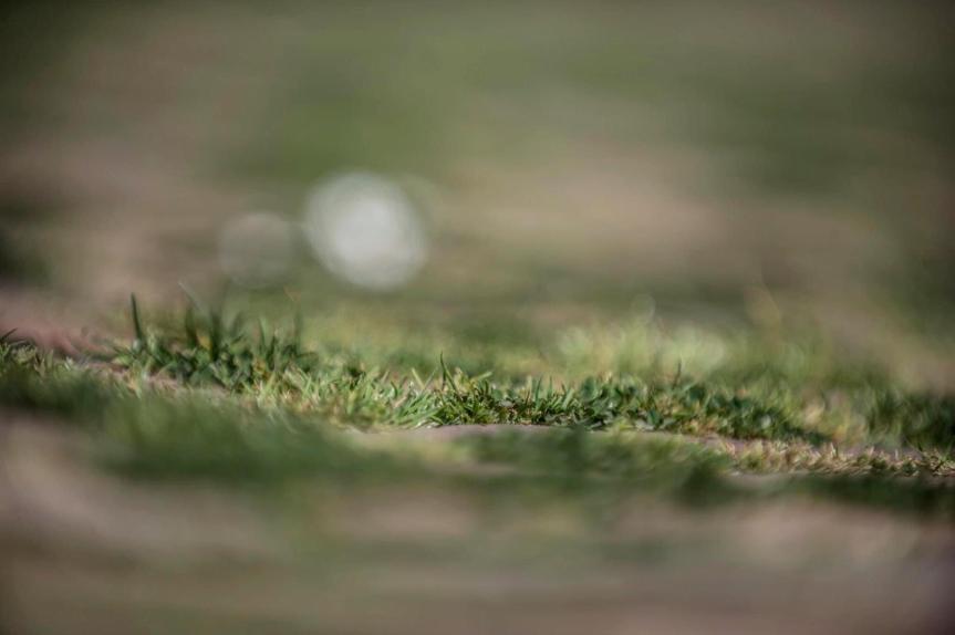 Italia, #Italiazonaprotetta – Siena: Giorno&nbsp;32