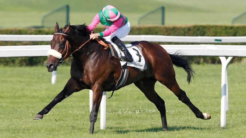 Ippica, Francia: Addio a Worthadd! Il campione della Incolinx aveva 13 anni. Ecco cosa è&nbsp;successo..