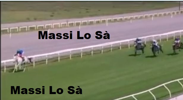 Ippica, Firenze: Oggi 28/05 Risultati 1^ Corsa Vince Bomodel da Clodia&nbsp;AA