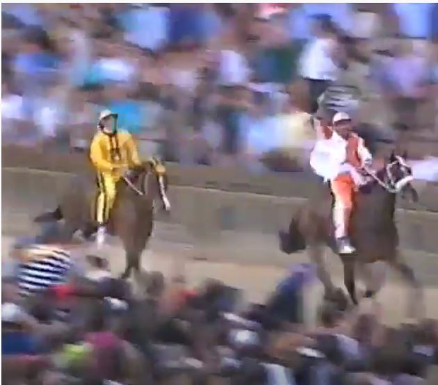 Palio di Siena: Palio 16 agosto&nbsp;1995