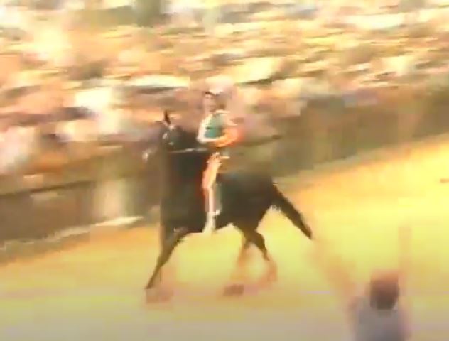 Palio di Siena: Palio 2 luglio&nbsp;1987