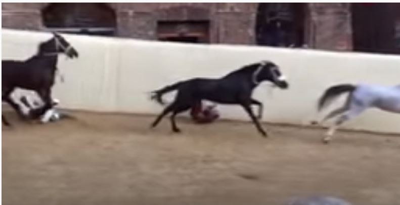 Palio di Siena: Il momento della caduta slow motion Palio di Siena straordinario 20 ottobre&nbsp;2018