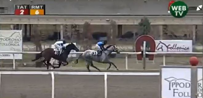 Palii e Corse: Oggi 07/05 brutta notizia, è scomparso il cavallo&nbsp;Uolcher