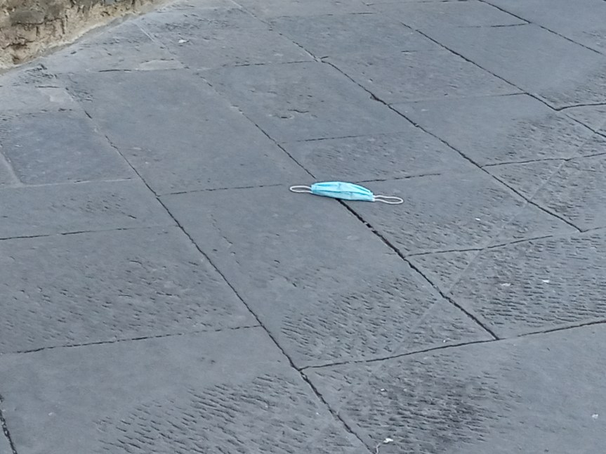 Siena, Covid e impatto ambientale: “Non si cura la salute umana se non si tutela&nbsp;l’ambiente”