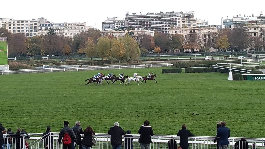 Ippica, Oggi alle corse, 16 Maggio: Auteil, Mantorp e Gulfstream Park. Arrivano i PDF con prestazioni&nbsp;scaricabili