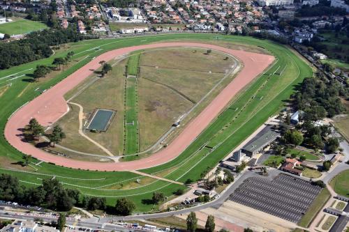 Ippica, Oggi alle corse, 23 Maggio: Bordeaux Le Bouscat, Gävle e Gulfstream Park. I PDF&nbsp;scaricabili