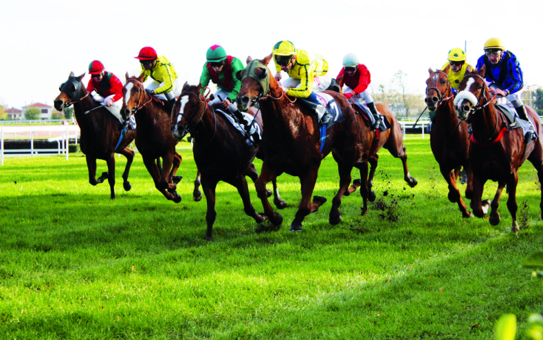 Ippica, Francia: Grave infortunio ed eutanasia per Helter Skelter. Era iscritto alle Poule francesi di lunedì&nbsp;prossimo