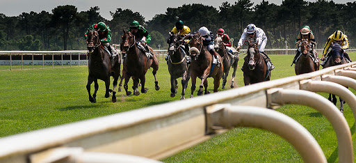 Ippica, Oggi alle corse: La Teste De Buch, Tampa Bay Downs e Solvalla. I PDF scaricabili&nbsp;qui