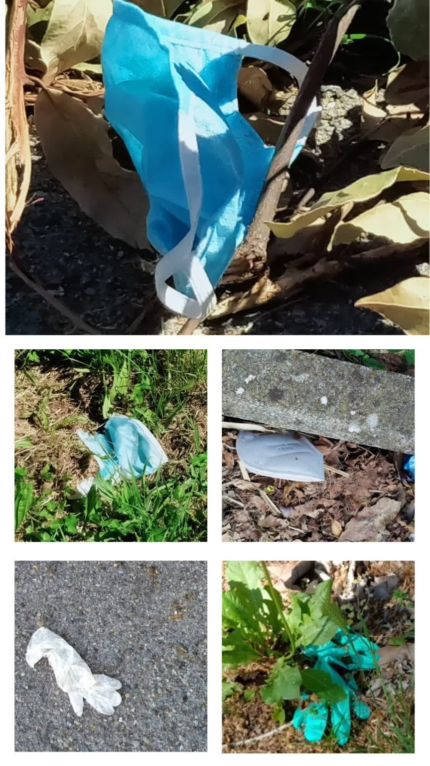 Siena: Guanti e mascherine gettate spesso a terra, #SienaNonMeritaQuestaInciviltà