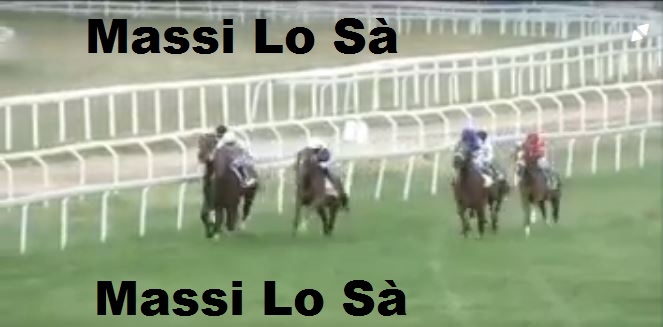 Ippica, Chilivani: Oggi 03/06 Risultati 2^ Corsa Vince Baldo Boy&nbsp;AA