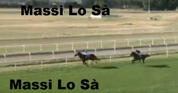 Ippica, Chilivani: Oggi 03/06 Risultati 6^ Corsa Vince Bella Chidera&nbsp;AA