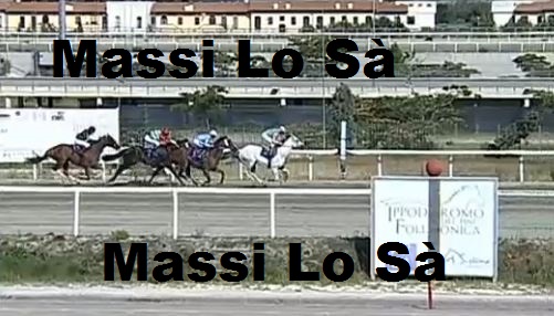 Ippica, Follonica: Oggi 24/06 Risultati 3^ Corsa Vince&nbsp;Baronessa