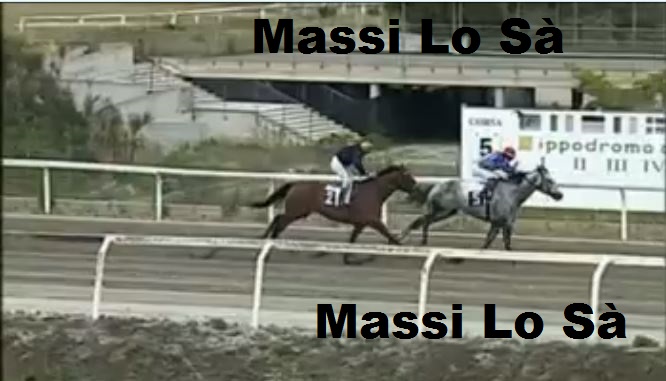 Ippica, Follonica: Oggi 10/06 Risultati 5^ Corsa Vince&nbsp;Vittorino